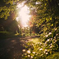 Logo for Kingdom Foundations