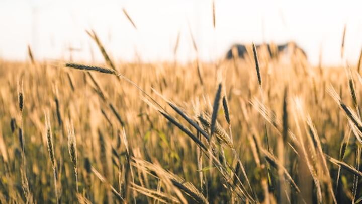 Logo for Landscaping