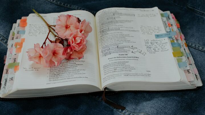 Logo for STUDY (Women): Ladies Daytime Study Group