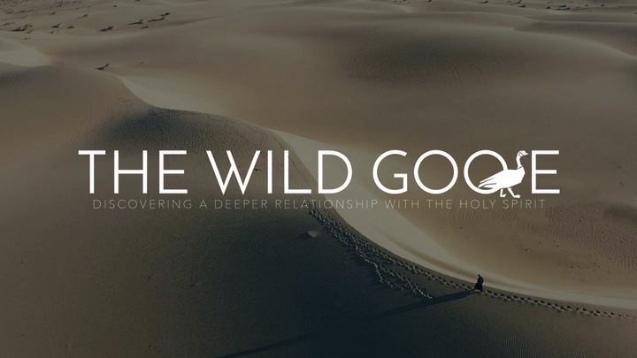 Logo for The Wild Goose (Ladies 50+)