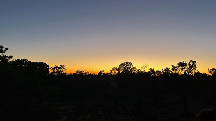 Logo for Sunday Homeschool Small Group