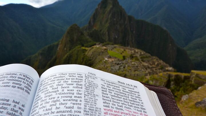 Logo for Monday PM Group (Price)