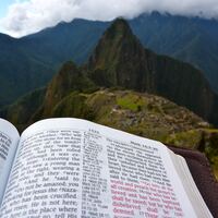 Logo for Monday PM Group (Price)