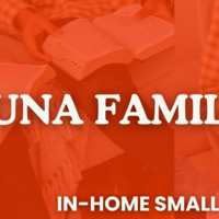 Logo for Luna Small Group