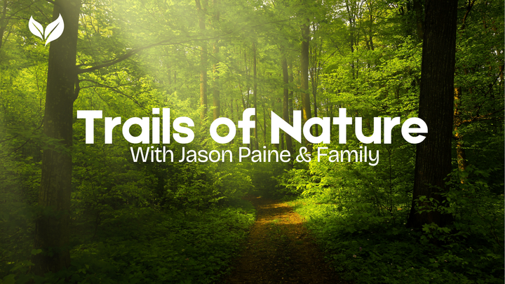 Logo for TRAILS OF NATURE | PAINE