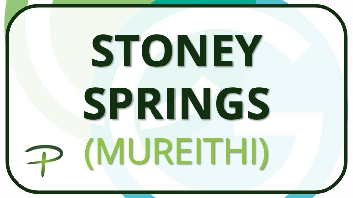 Logo for Stoney Springs (Mureithi)