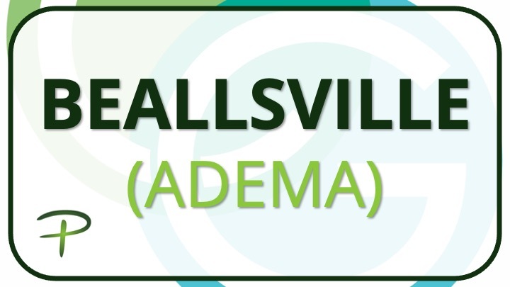 Logo for Beallsville (Adema)