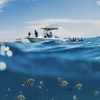 Logo for Fishing Group