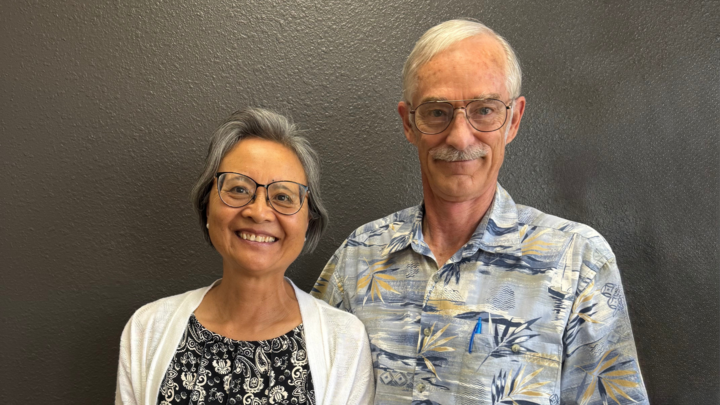 Logo for Davison, Rex & Suting