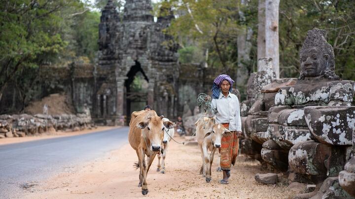 Logo for Prayer & Care Team for:  Cambodia & South Africa