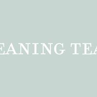 Logo for Cleaning Team