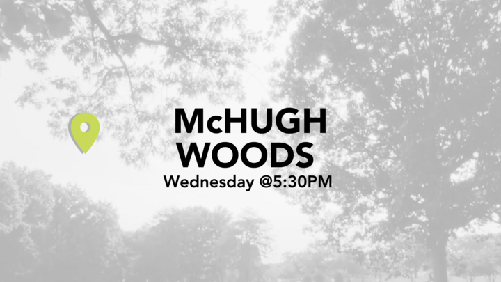 Logo for McHugh Woods