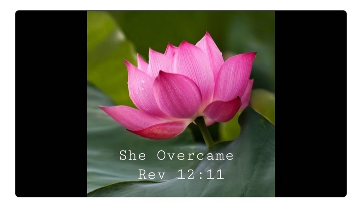 Logo for She Overcame