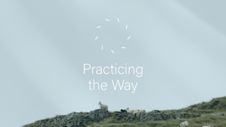 Logo for Winchester - Sunday 1:00