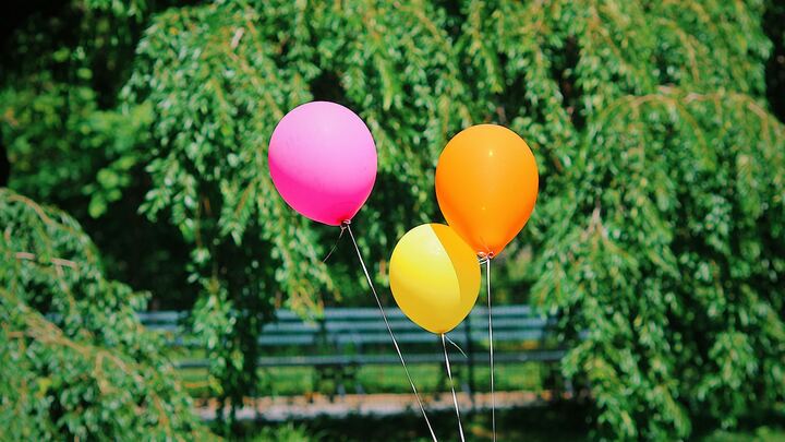 Logo for Primary (1st & 2nd Grade)