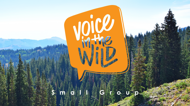 Logo for MEN - Voice in the Wild