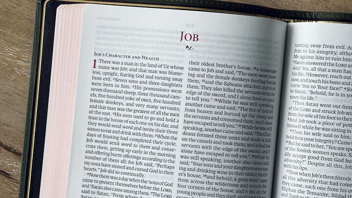 Logo for Engaging God's Word: Job