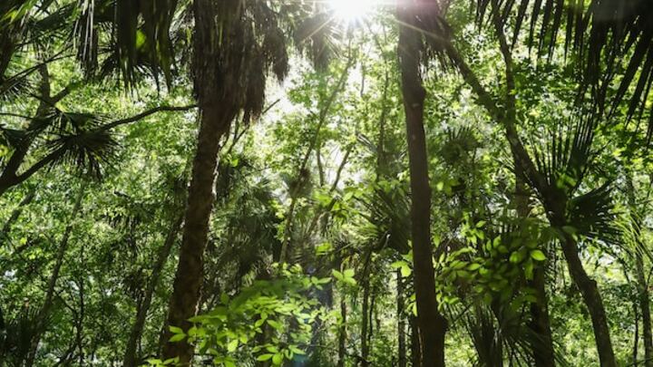 Logo for Florida - Orlando (Sanford)