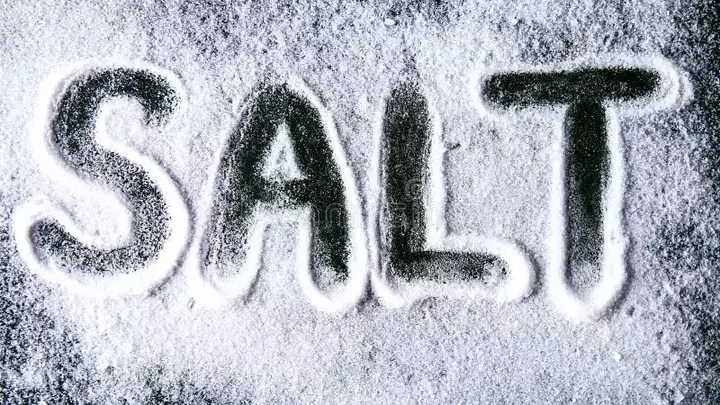 Logo for S.A.L.T.  Single Adults Living Truth