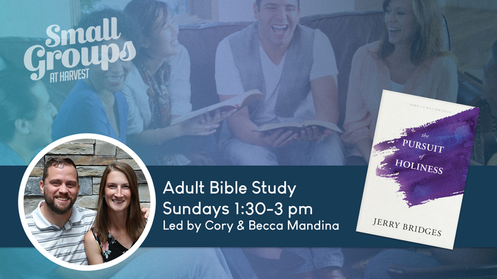 Logo for Sundays | Adult Study