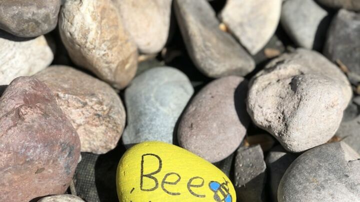 Logo for Kindness and Community