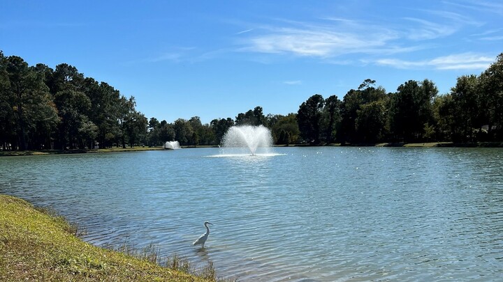 Logo for Walking In Love