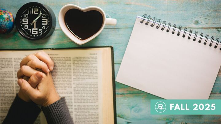 Logo for Ladies | Steadfast: The Book of James | Kelly Foley