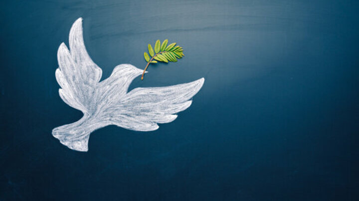 Logo for Couples of Grace