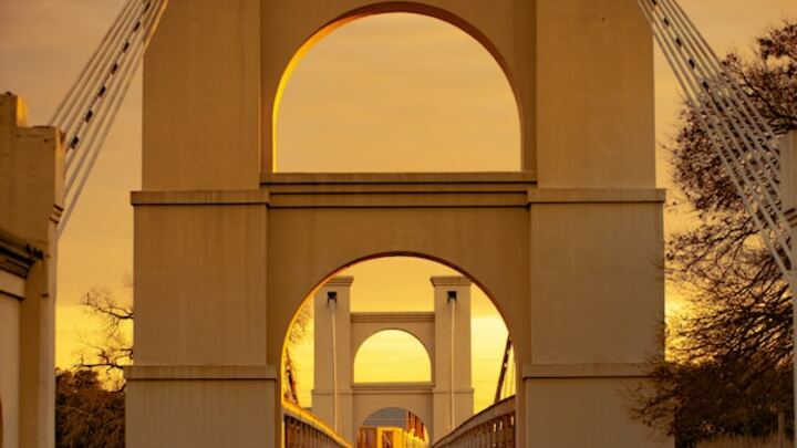 Logo for S.A.L.T. (Single Adults Living Truth)