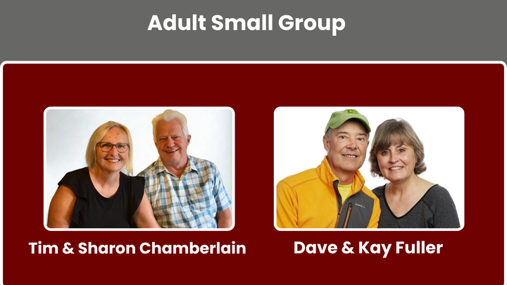 Logo for Adult Small Group: Chamberlain/Fuller