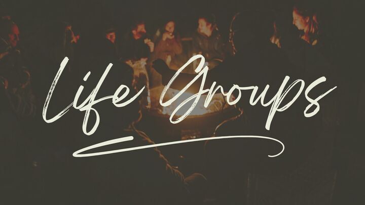 Logo for Neal / Bonham Life Group