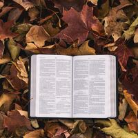 Logo for Nemanishen Life Group