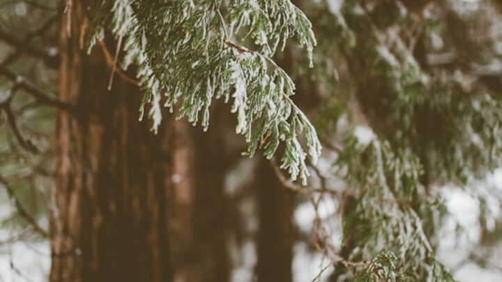 Logo for Community Care