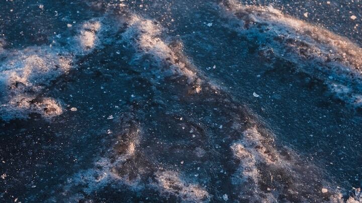 Logo for College Students