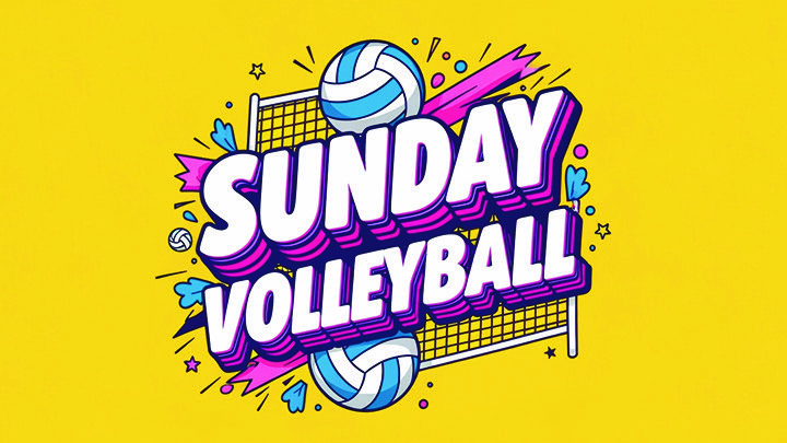 Volleyball logo