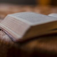 Logo for Grupo - Hablantes de Español