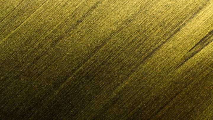 Logo for Sounds of Grace Choir