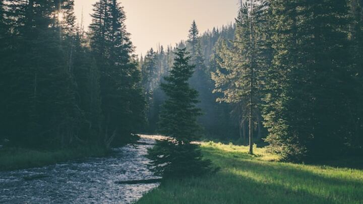 Logo for Great Falls Small Group