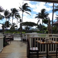Daylight Mind (Waikoloa) Devotions
