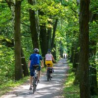 Logo for 55+ Members Email List