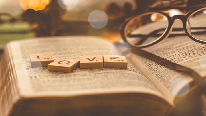 Logo for Love Team-Community Care
