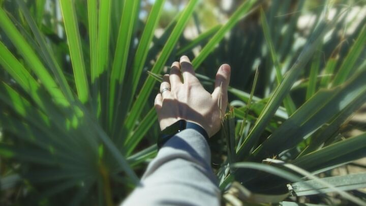 Logo for Leader's Name: Grupos Vida | Life Groups