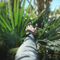 Logo for Leader's Name: Grupos Vida | Life Groups