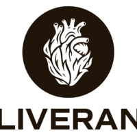 Logo for Deliverance Team