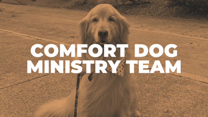 Logo for Amos Comfort Dog Ministry