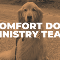 Logo for Amos Comfort Dog Ministry