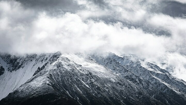 Logo for D6 Volunteers