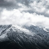 Logo for D6 Volunteers