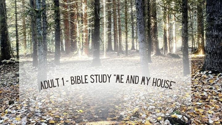 Logo for Adult 1 - Me and My House Bible Class