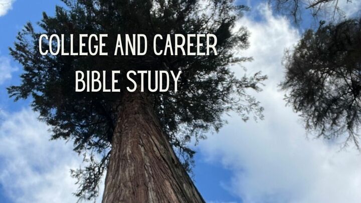 Logo for Adult 1.0 - College and Career Bible Study